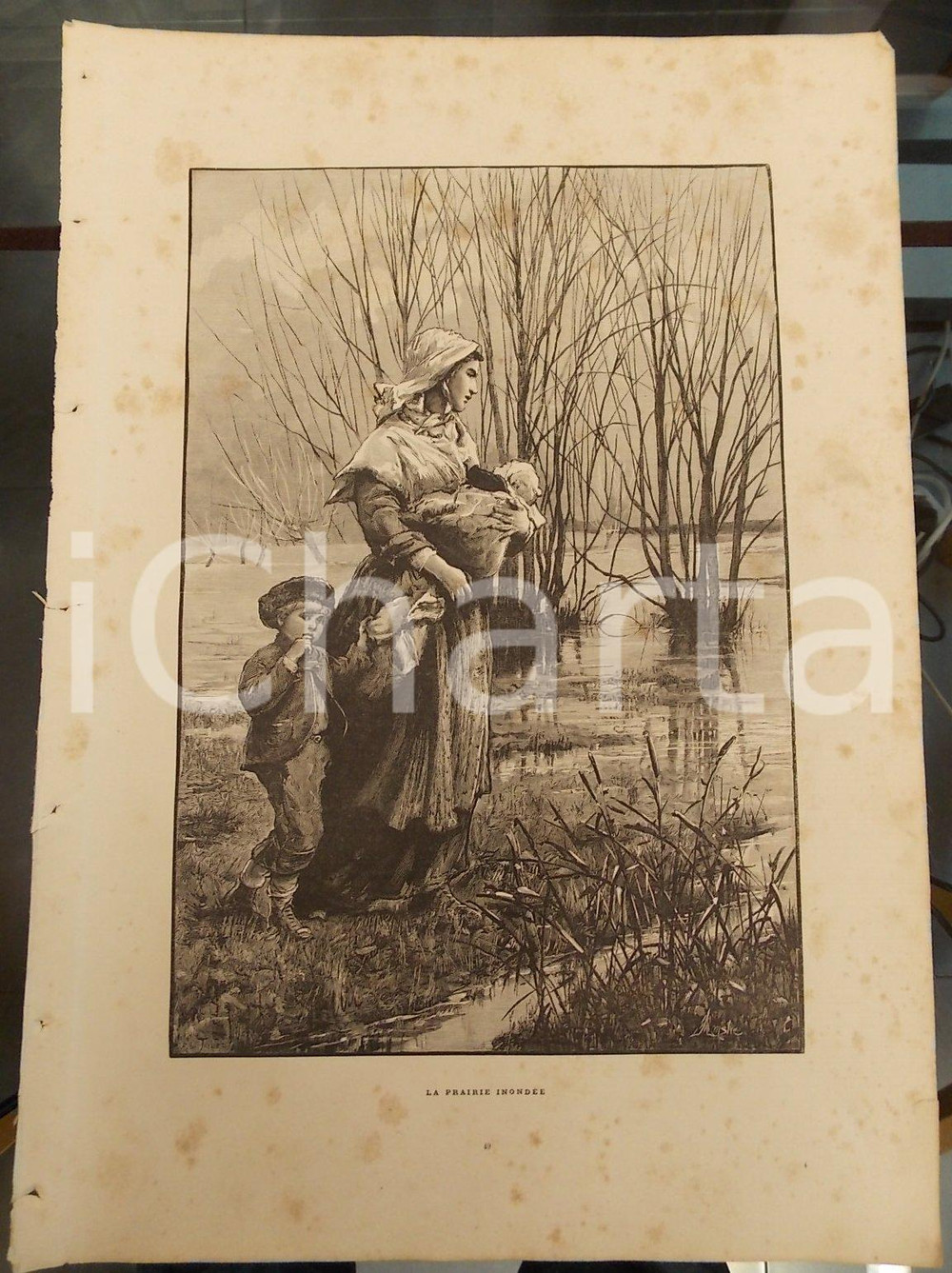 Stampa, bozzetto originale 1886 LES MERVEILLES DE L ART MODERNE Robin TAYLOR La prairie inondée Stampa 1