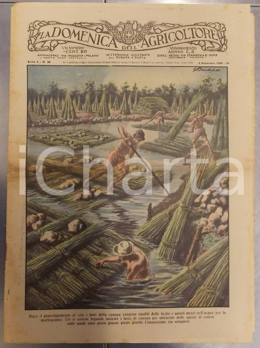 Giornale, rivista storica 1928 LA DOMENICA DELL AGRICOLTORE Dryfarming in ITALIA Anno III n° 36 1