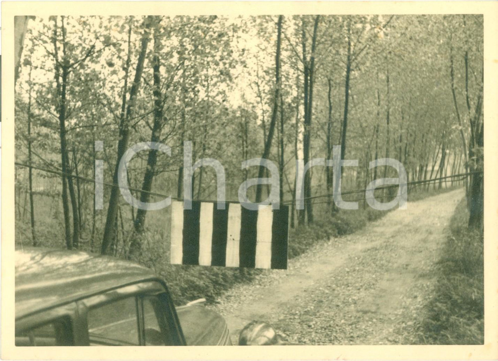 Fotografia d'epoca originale 1950 VIGEVANO (PV) FIAT 508C Nuova Balilla 1100 persa nel bosco *FOTOGRAFIA 1