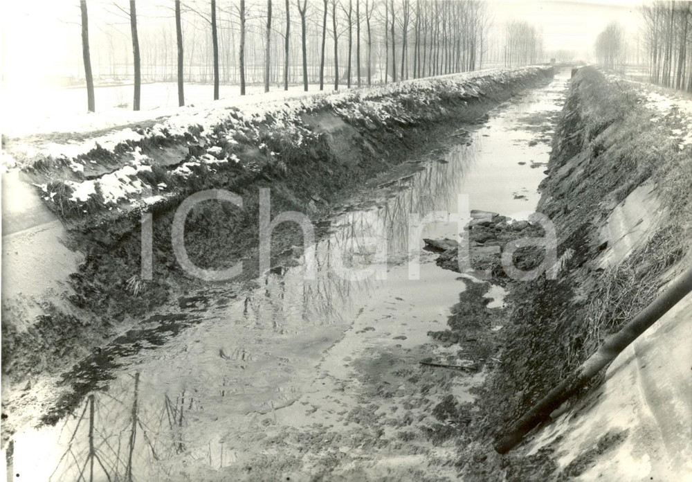 Fotografia d'epoca originale 1965 LONATE POZZOLO (VA) Veduta campagna con Subdiramatore PAVIA *Fotografia 1