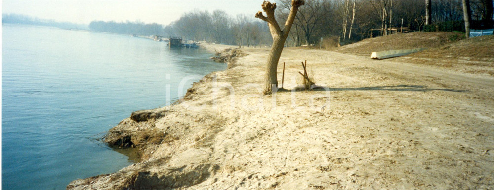 Fotografia d'epoca originale 1990 ca PAVIA SAN LANFRANCO Veduta artistica sponda sinistra TICINO *Foto 29x11 1