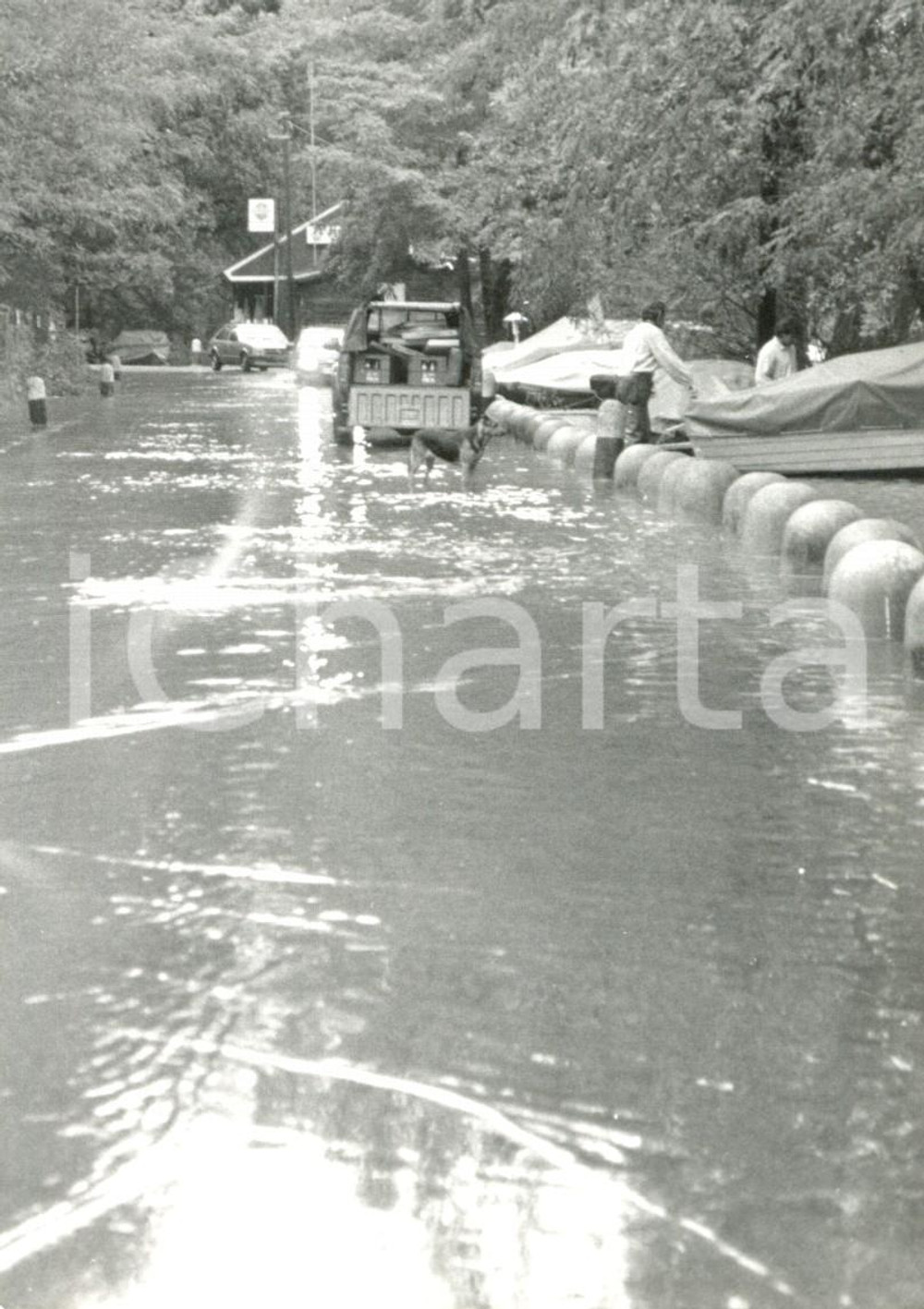 Fotografia d'epoca originale 1994 BEREGUARDO (PV) Alluvione TICINO - Strada provinciale allagata *Fotografia 1