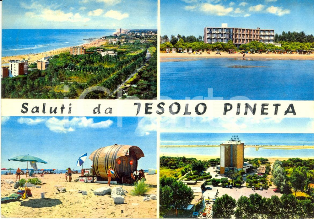 Cartolina originale da collezione 1965 JESOLO (VE) Vedutine pineta albergo NIGHT BELLE VUE Cartolina VINTAGE FG VG 1