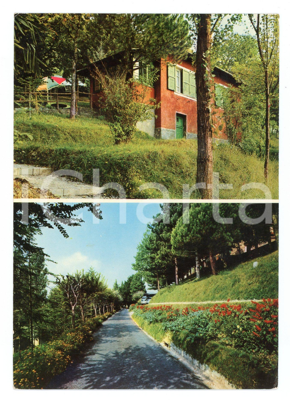 Cartolina originale da collezione 1972 USCIO GE Vedutine Colonia della salute CARLO ARNALDI Cartolina VINTAGE FG 1