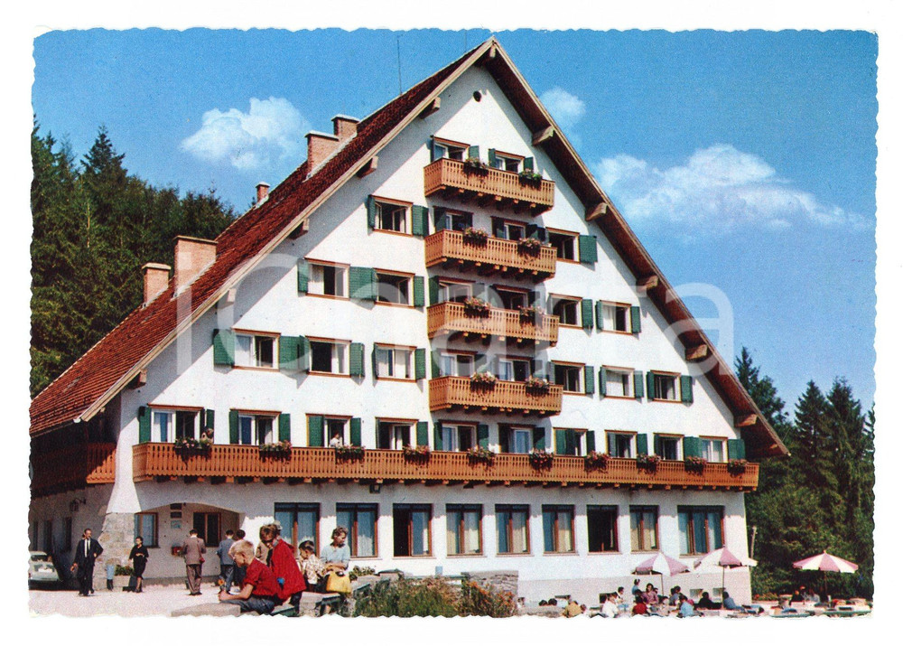 Cartolina originale da collezione 1970 ca POHORJE (SLOVENIA) Postanski dom Cartolina postale VINTAGE ANIMATA FG NV 1