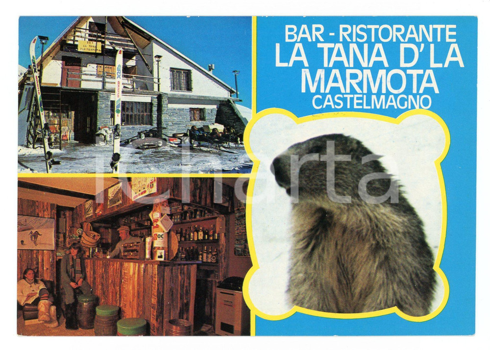 Cartolina originale da collezione 1970 ca CASTELMAGNO (CN) Bar Ristorante LA TANA D'LA MARMOTA *Cartolina FG NV 1