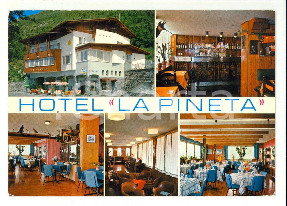 Cartolina originale da collezione 1970 BIELMONTE VC Hotel Ristorante LA PINETA  Cartolina 1