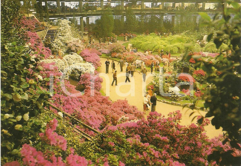 Cartolina originale da collezione 1986 GENOVA Fiera EUROFLORA Visitatori ammirano esposizione Cartolina FG NV 1