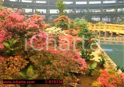 Cartolina originale da collezione 1986 GENOVA Fiera EUROFLORA Esposizione fiori Panorama con ponte VINTAGE FG NV 1