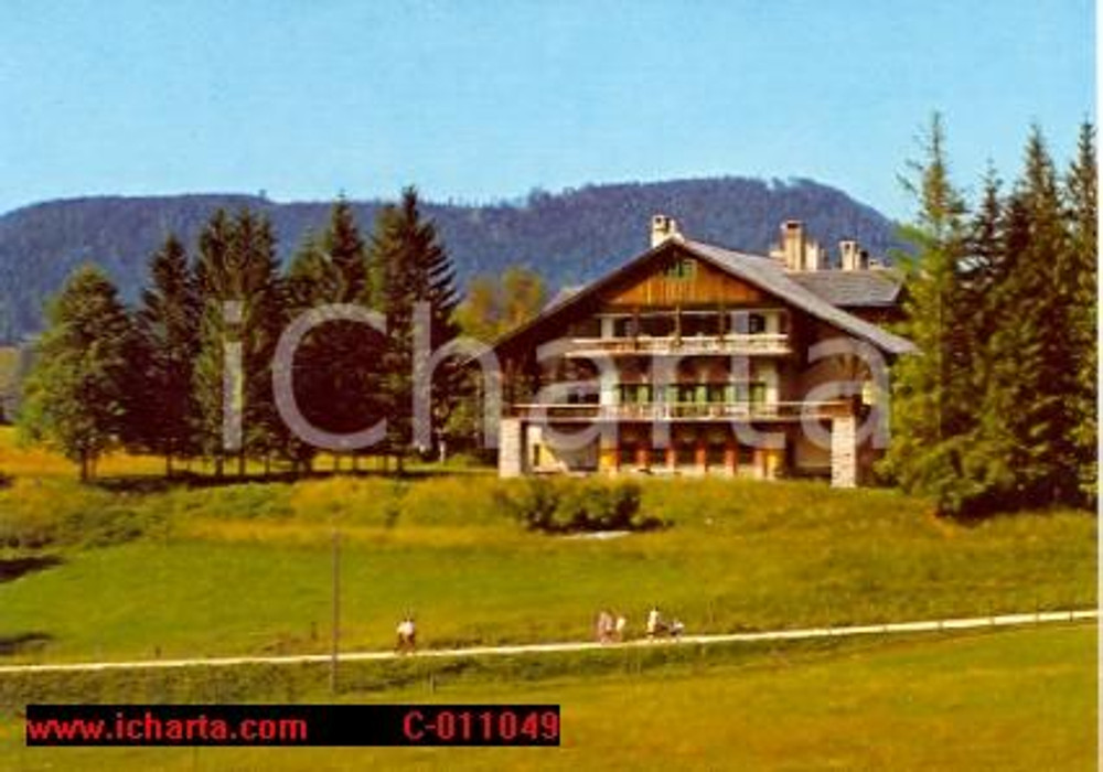Cartolina originale da collezione 1975 ca MARIAZELL AUSTRIA Hotel ALPENHOF di Irene FLESCH Cartolina 1