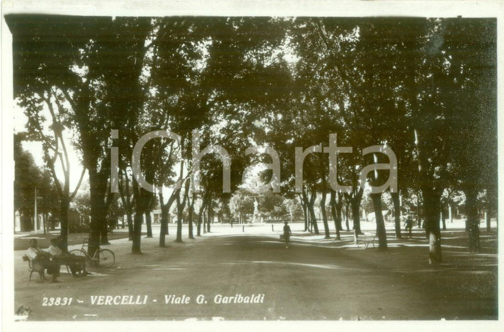 Cartolina originale da collezione 1950 ca VERCELLI Veduta di Viale Giuseppe GARIBALDI Cartolina ANIMATA FP NV 1