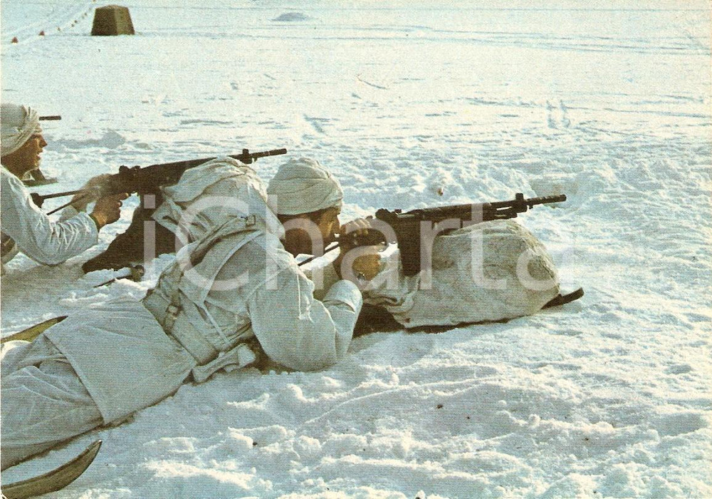 Cartolina originale da collezione 1975 ca ESERCITO ITALIANO Truppe alpine con fucile leggero BM/59 Cartolina FG NV 1