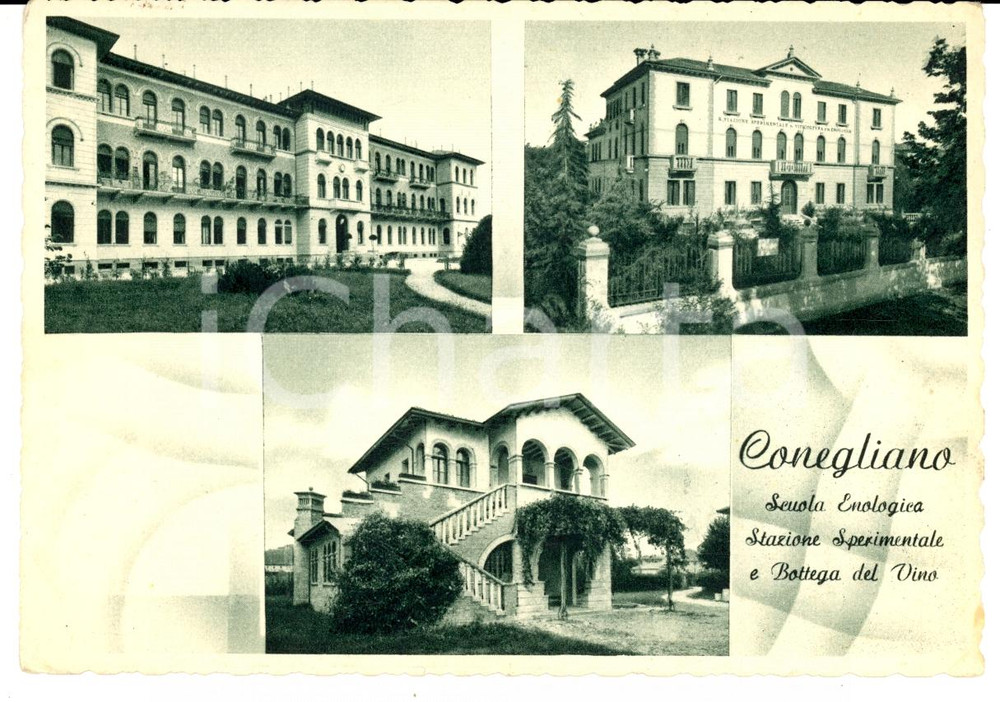 Cartolina originale da collezione 1950 CONEGLIANO (TV) Scuola Enologica e Bottega del vino *Cartolina FG VG 1