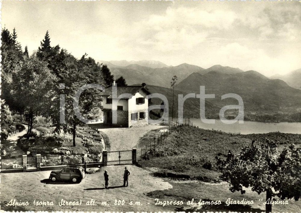 Cartolina originale da collezione 1958 STRESA VB ALPINO Ingresso al Giardino ALPINIA con FIAT GIARDINETTA 1