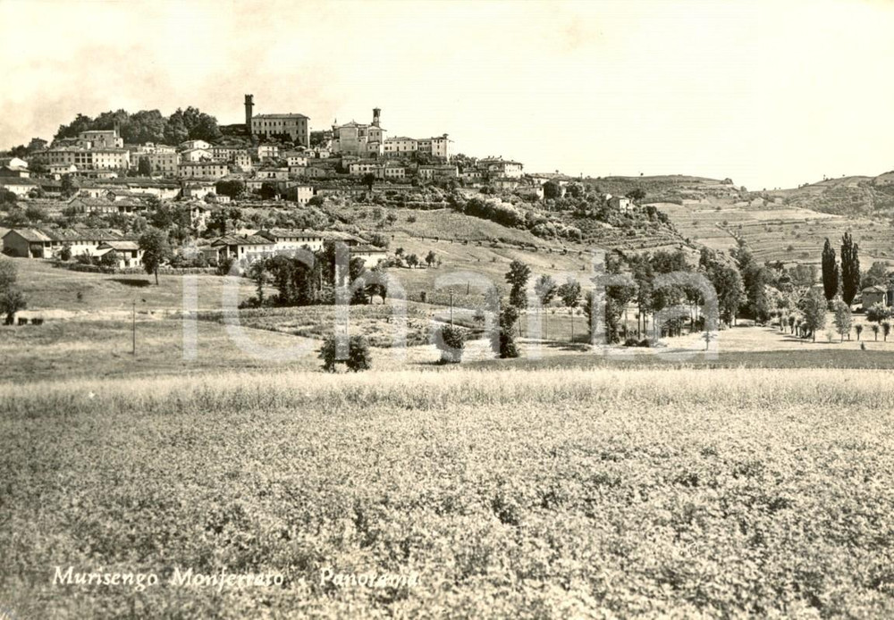 Cartolina originale da collezione 1955 ca MURISENGO  AL Veduta panoramica del paese MONFERRATO  Cartolina FG VG 1