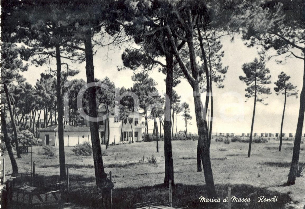 Cartolina originale da collezione 1950 ca MASSA Panorama della frazione RONCHI Cartolina postale FG NV 1