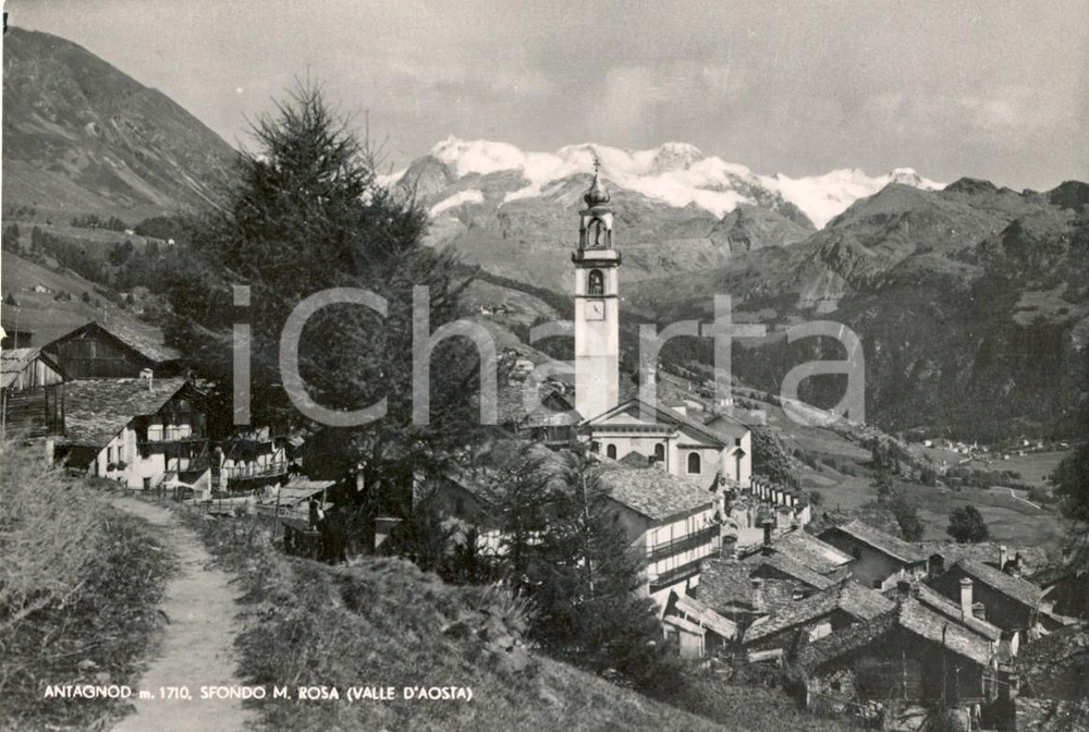 Cartolina originale da collezione 1953 AYAS (AO) Panorama della frazione ANTAGNOD e del MONTE ROSA *FG VG 1