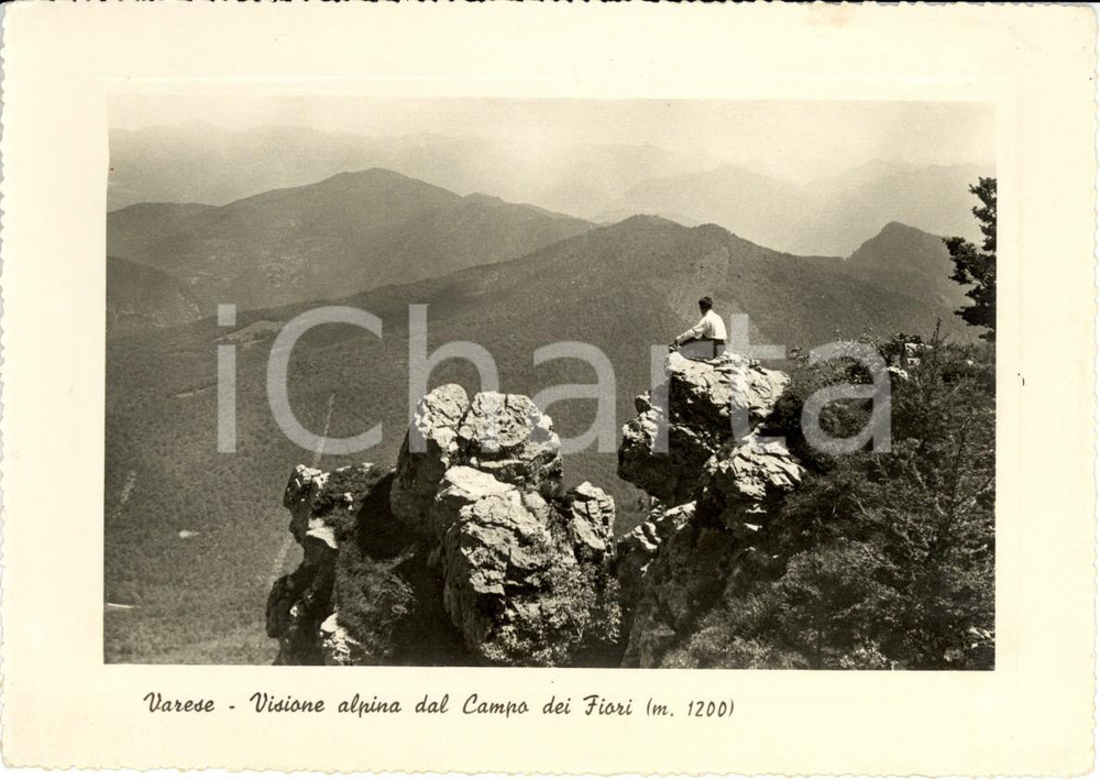 Cartolina originale da collezione 1950 VARESE Veduta della vallata dal CAMPO DEI FIORI Cartolina ANIMATA FG VG 1