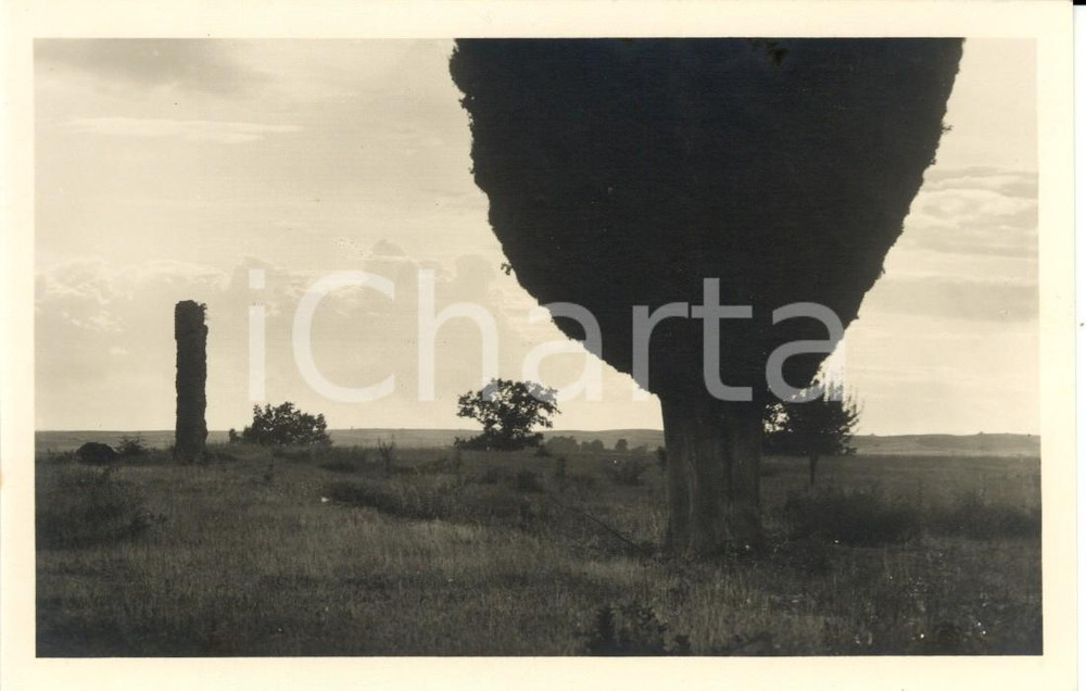 Cartolina originale da collezione 1930 ca TIVOLI ROMA Veduta del parco di VILLA ADRIANA Cartolina postale FP NV 1