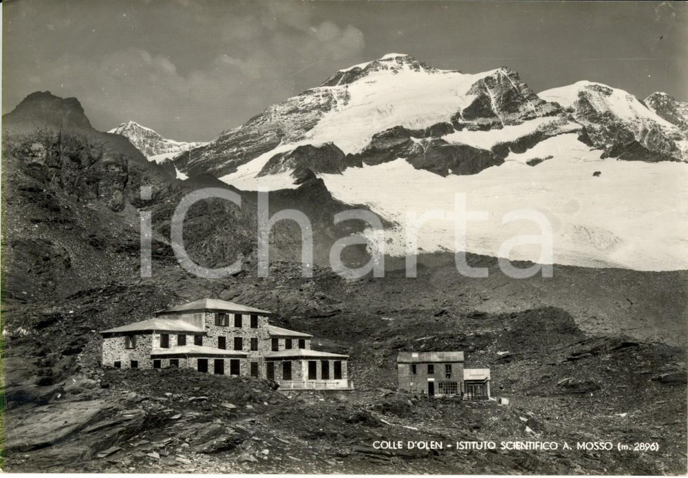 Cartolina originale da collezione 1955 ca COLLE D'OLEN  (VC) VALSESIA Istituto Scientifico Angelo MOSSO *Cartolina 1
