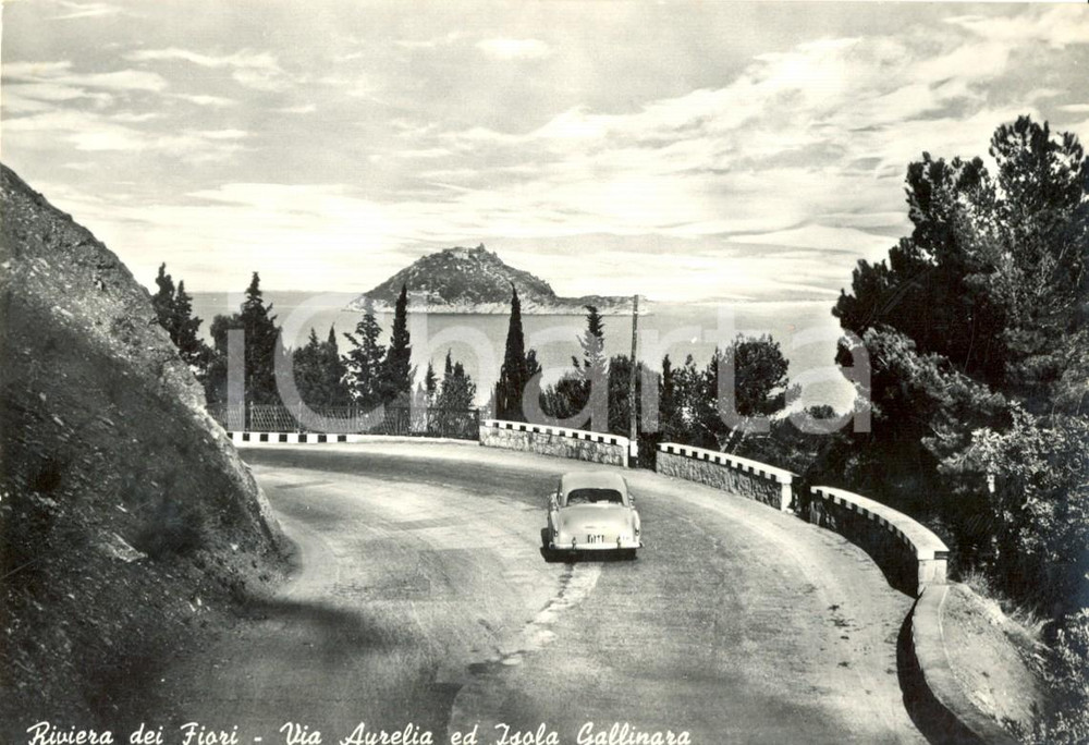 Cartolina originale da collezione 1950 ca ALBENGA SV RIVIERA DEI FIORI  Via AURELIA ed Isola GALLINARA  FG VG 1