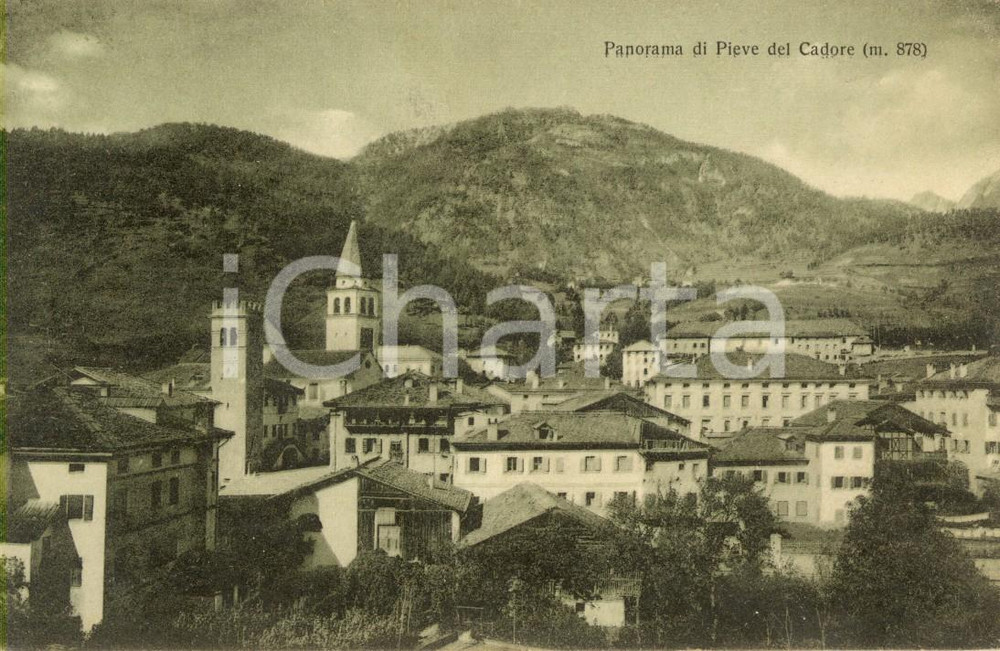 Cartolina originale da collezione 1916 PIEVE DI CADORE (BL) Panorama del paese *Cartolina postale FP VG 1
