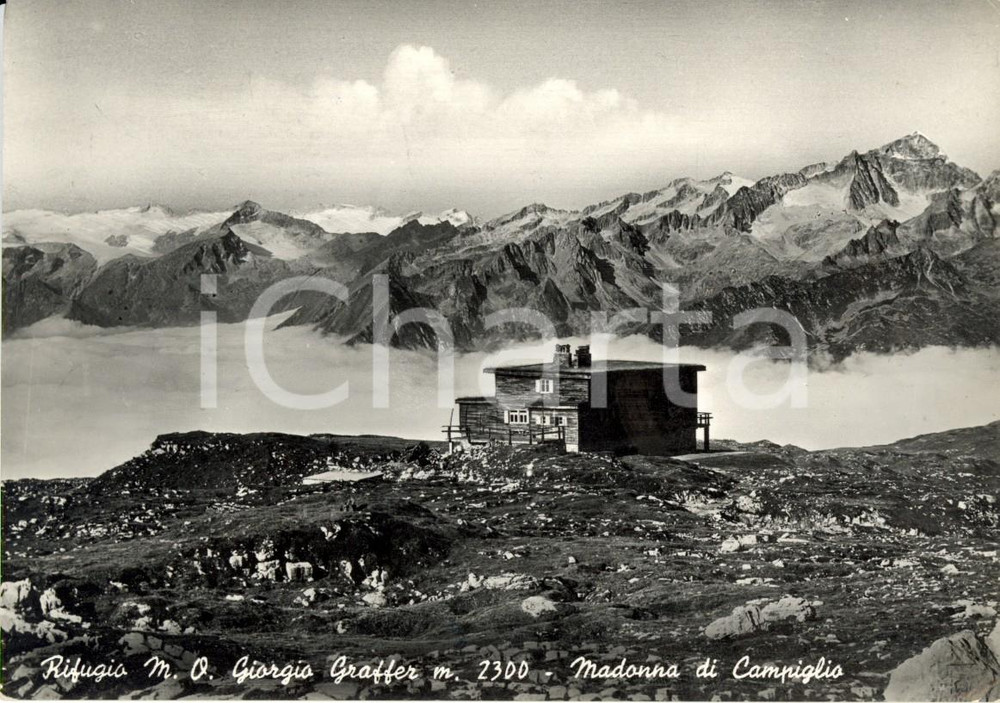 Cartolina originale da collezione 1952 MADONNA DI CAMPIGLIO (TN) Dolomiti di BRENTA Rifugio Giorgio GRAFFER *FG VG 1