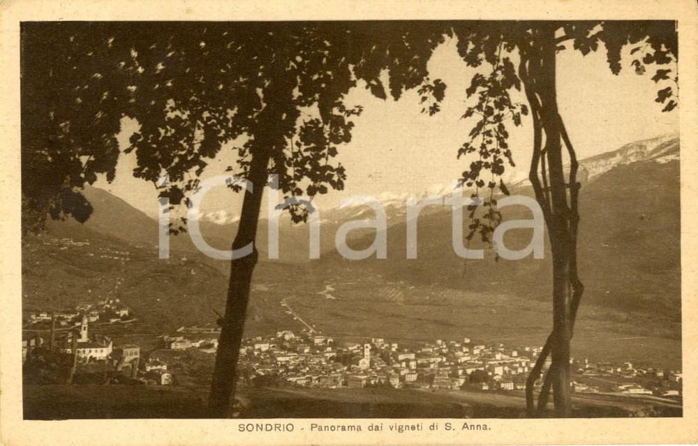 Cartolina originale da collezione 1939 SONDRIO Panorama dai vigneti della frazione SANT ANNA Cartolina FP VG 1