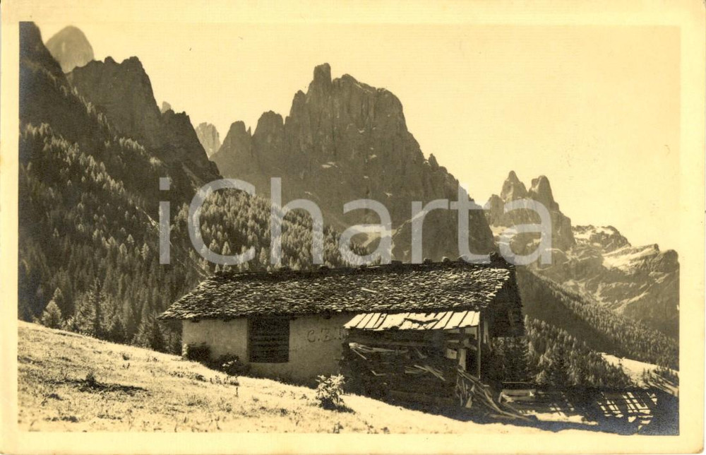 Cartolina originale da collezione 1930 ca SAN MARTINO DI CASTROZZA (TN) Veduta baita con montagne *Cartolina FP NV 1