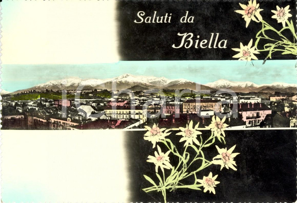 Cartolina originale da collezione 1960 ca BIELLA Veduta panoramica della cittÃ  Cartolina postale FG NV 1