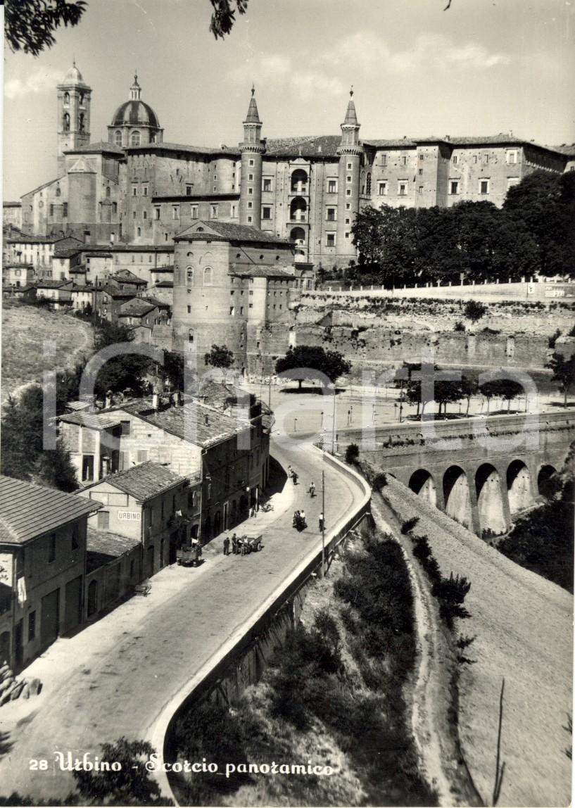 Cartolina originale da collezione 1950 ca URBINO Scorcio panoramico cittÃ  e palazzo ducale Cartolina ANIMATA NV 1