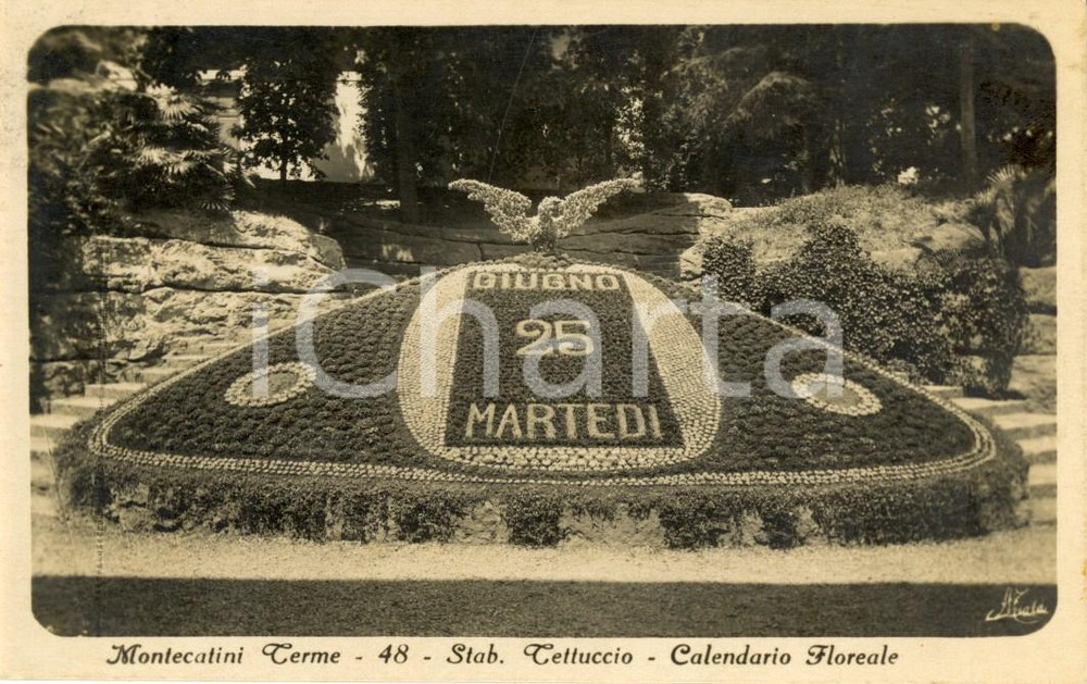 Cartolina originale da collezione 1930 MONTECATINI TERME (PT) Calendario floreale dello stabilimento TETTUCCIO *VG 1