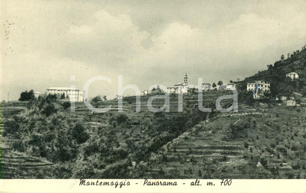 Cartolina originale da collezione 1957 BORZONASCA GE Veduta frazione MONTOMOGGIO con vigneti Cartolina FP VG 1