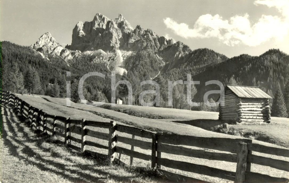 Cartolina originale da collezione 1959 BRAIES BZ Baite tra i pascoli e cima PIETRASECCA Cartolina postale FP VG 1