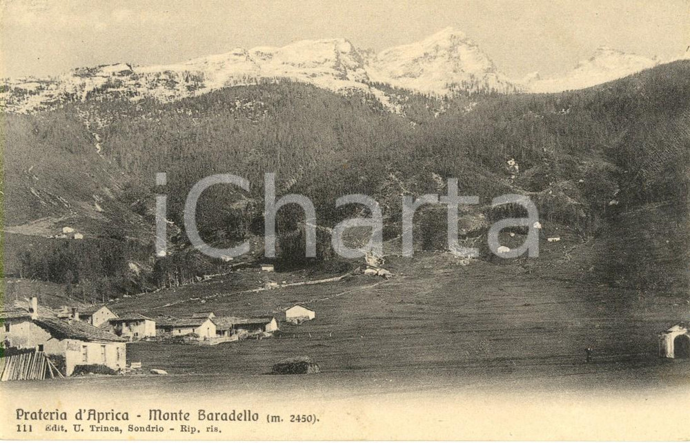Cartolina originale da collezione 1915 ca APRICA (SO) Veduta della prateria e del monte BARADELLO *Cartolina FP NV 1
