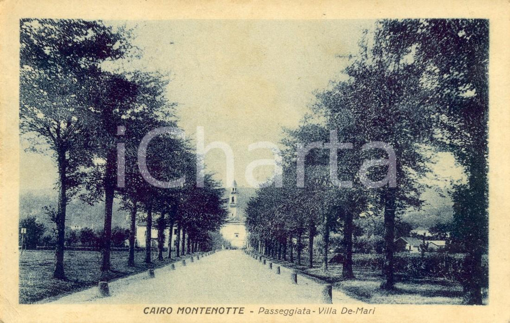 Cartolina originale da collezione 1932 CAIRO MONTENOTTE (SV) Viale alberato nel parco di Villa DE MARI *FP VG 1