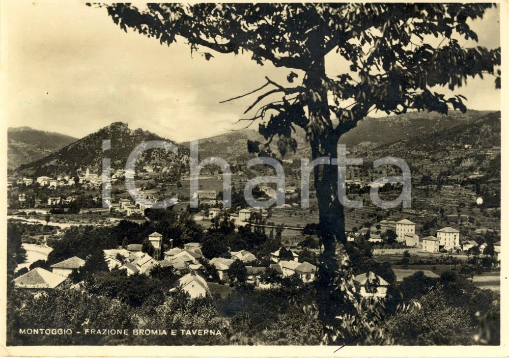 Cartolina originale da collezione 1950 MONTOGGIO GE Veduta delle frazioni BROMIA e TAVERNA Cartolina FG VG 1
