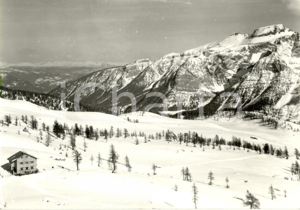 Cartolina originale da collezione 1950 ca MADONNA DI CAMPIGLIO (TN) Rifugio Silvio AGOSTINI a PRADALAGO *Cartolina 1