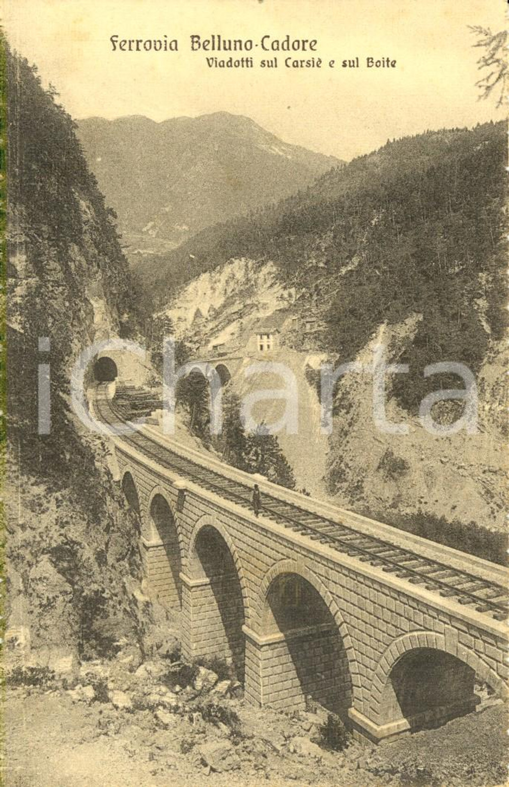 Cartolina originale da collezione 1930 ca Ferrovia BELLUNO  CALALZO DI CADORE Viadotti su CARSIE e BOITE ANIMATA 1