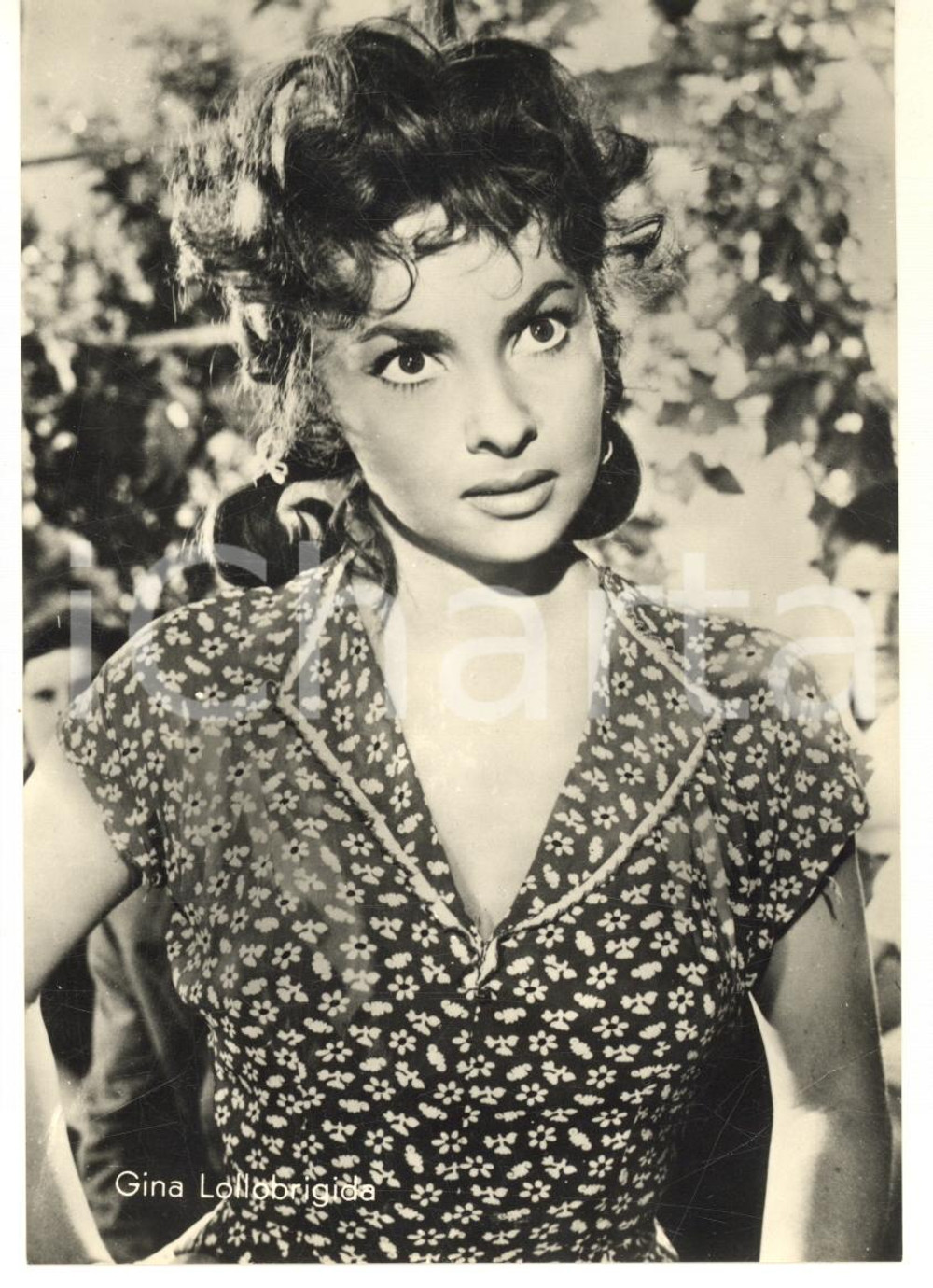 Cartolina originale da collezione 1965 ca GINA LOLLOBRIGIDA Foto seriale cartolina FG NV (1) 1