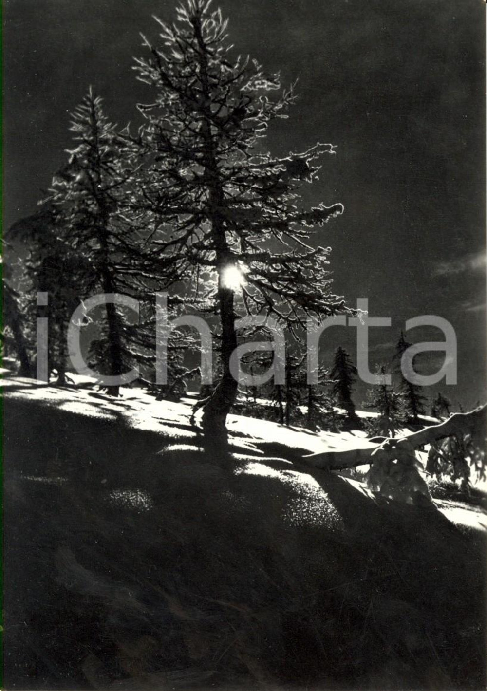 Cartolina originale da collezione 1968 CESANA TORINESE - CLAVIERE (TO) MONTI della LUNA Ombre e luci in Val GIMONT 1