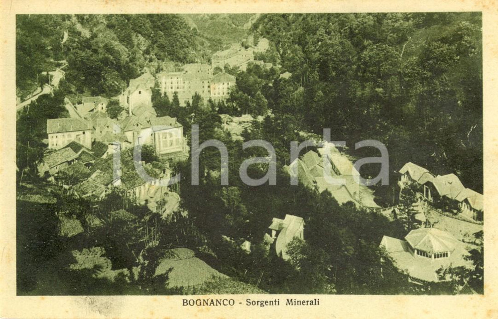 Cartolina originale da collezione 1925 BOGNANCO (VB) Veduta delle sorgenti minerali *Cartolina postale FP VG 1