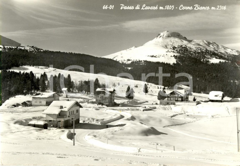 Cartolina originale da collezione 1963 VARENA TN  Passo di LAVAZE  e CORNO BIANCO Cartolina postale FG NV 1