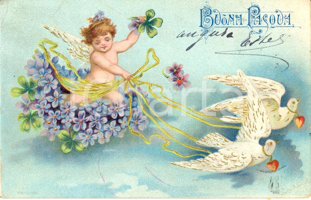 Cartolina originale da collezione 1900 ca Auguri PASQUA Amorino su carrozza con colombe Augurale DANNEGGIATA VG 1