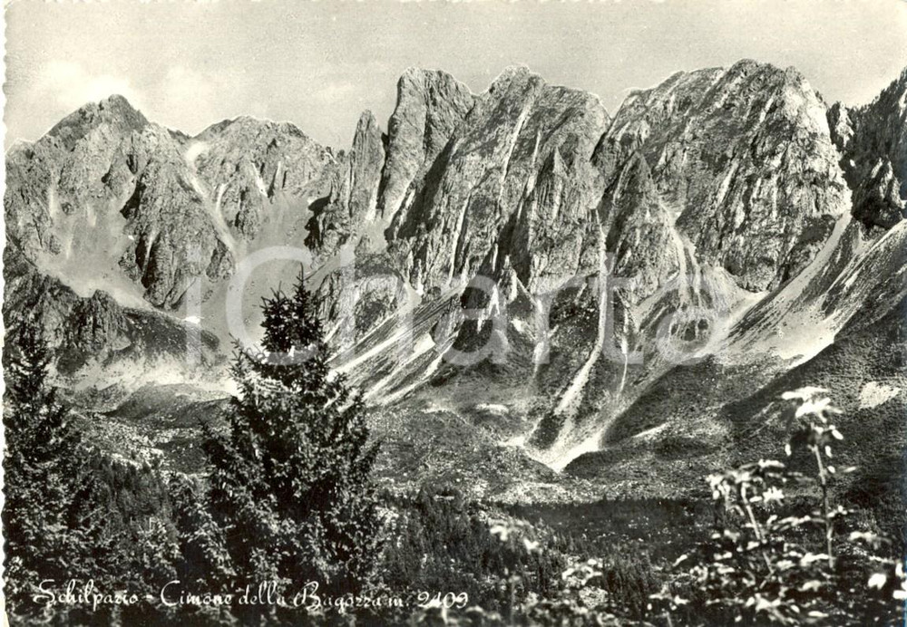 Cartolina originale da collezione 1958 SCHILPARIO (BG) Cimone della BAGOZZA *Cartolina postale FG VG 1
