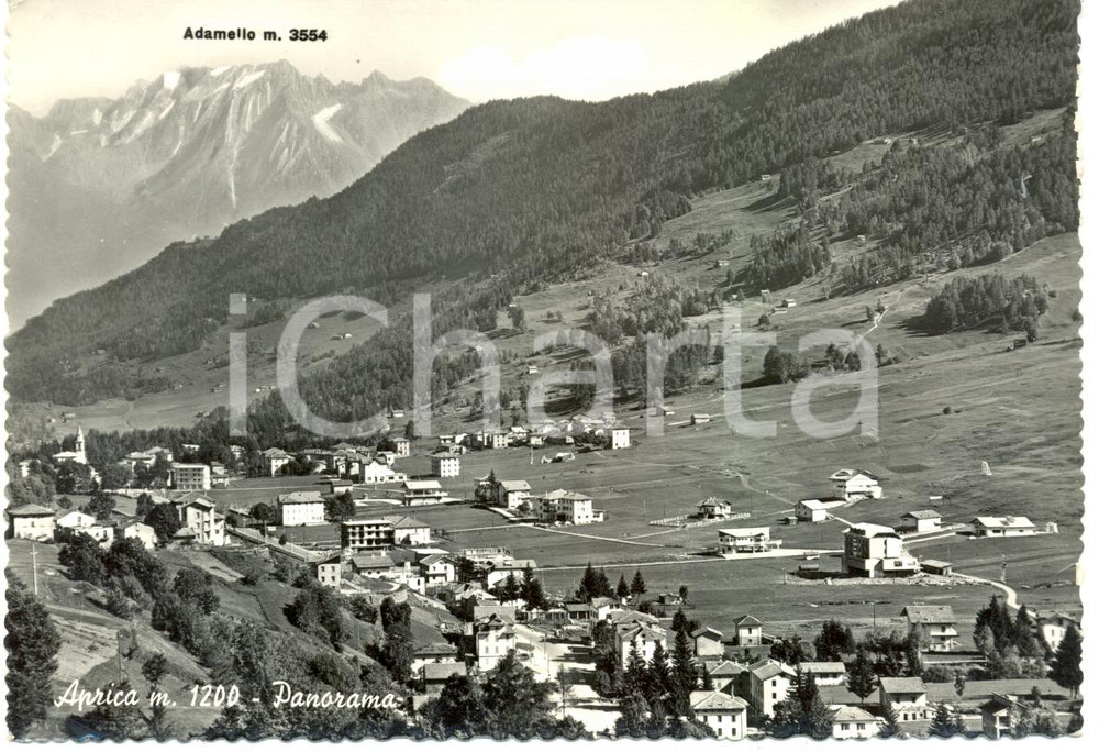 Cartolina originale da collezione 1961 PASSO APRICA (SO) Panorama del paese e Monte ADAMELLO *Cartolina FG VG 1