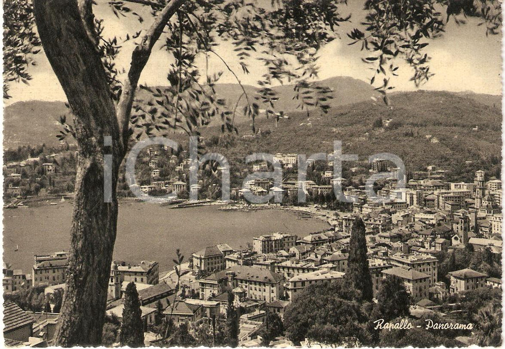 Cartolina originale da collezione 1954 RAPALLO (GE) Panorama della cittÃ  *Cartolina FG VG 1