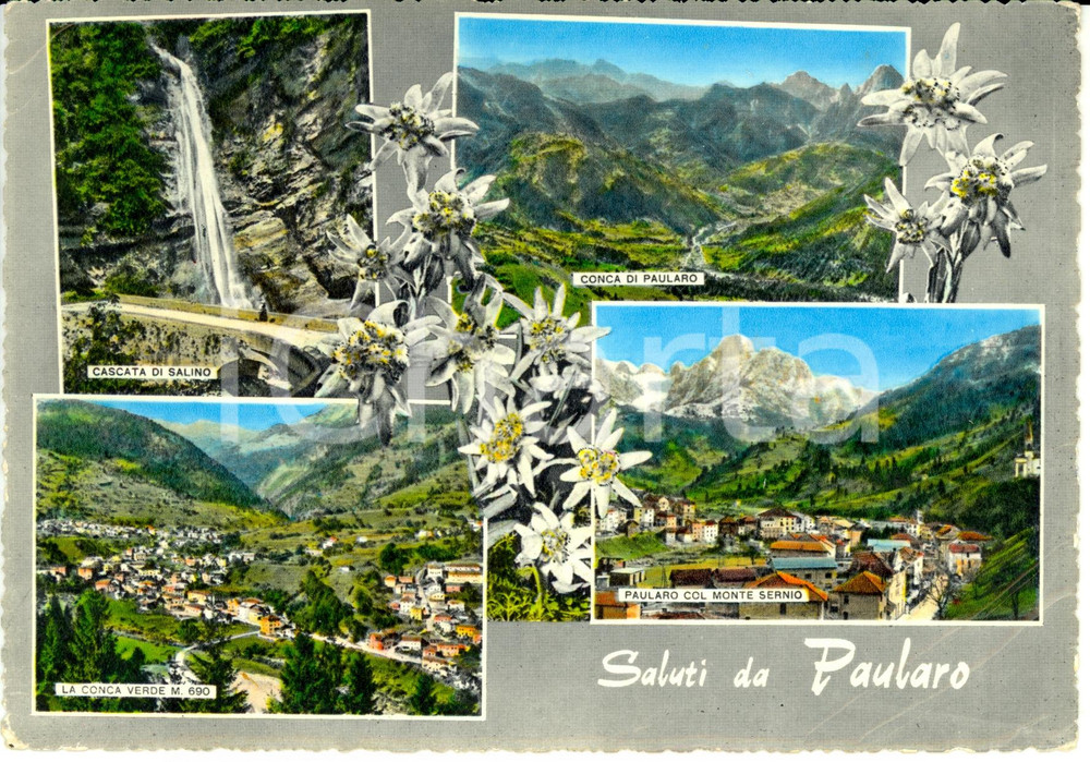 Cartolina originale da collezione 1961 PAULARO (UD) Vedutine con Cascata di SALINO *Cartolina DANNEGGIATA FG VG 1