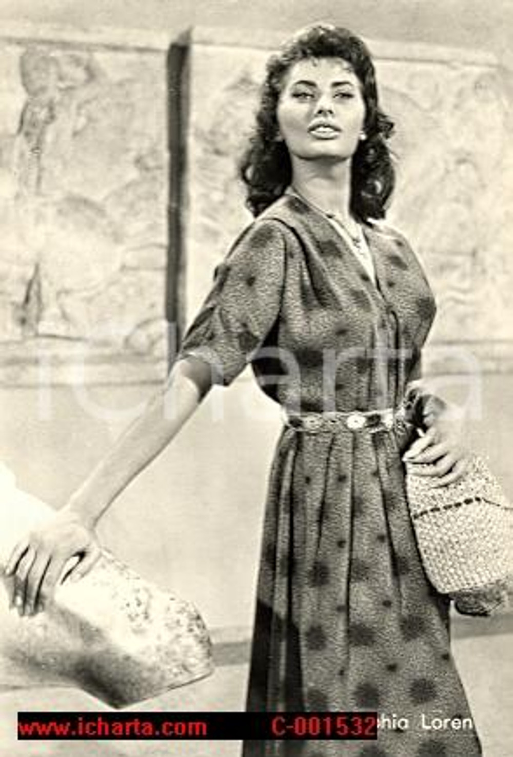 Cartolina originale da collezione 1965 ca SOPHIA LOREN Foto seriale cartolina FG NV 1
