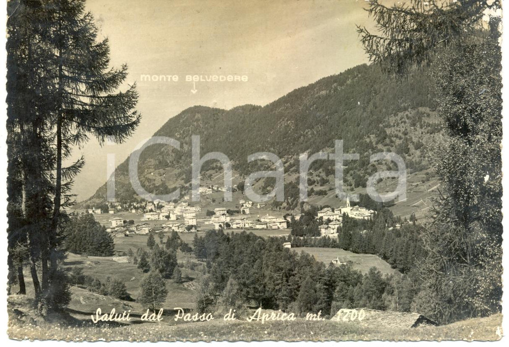 Cartolina originale da collezione 1958 PASSO APRICA SO Panorama del paese e Monte BELVEDERE Cartolina FG VG 1